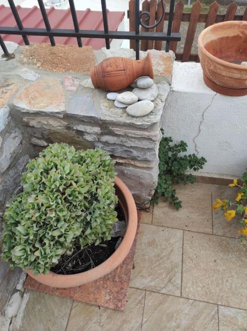 Holiday home Semina-marina Hersonissos (Crete)